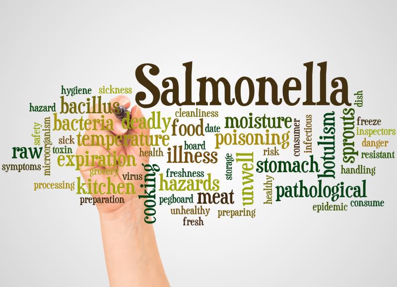 Does Cooking Kill Salmonella and What Foods Have It? A Guide Cenza